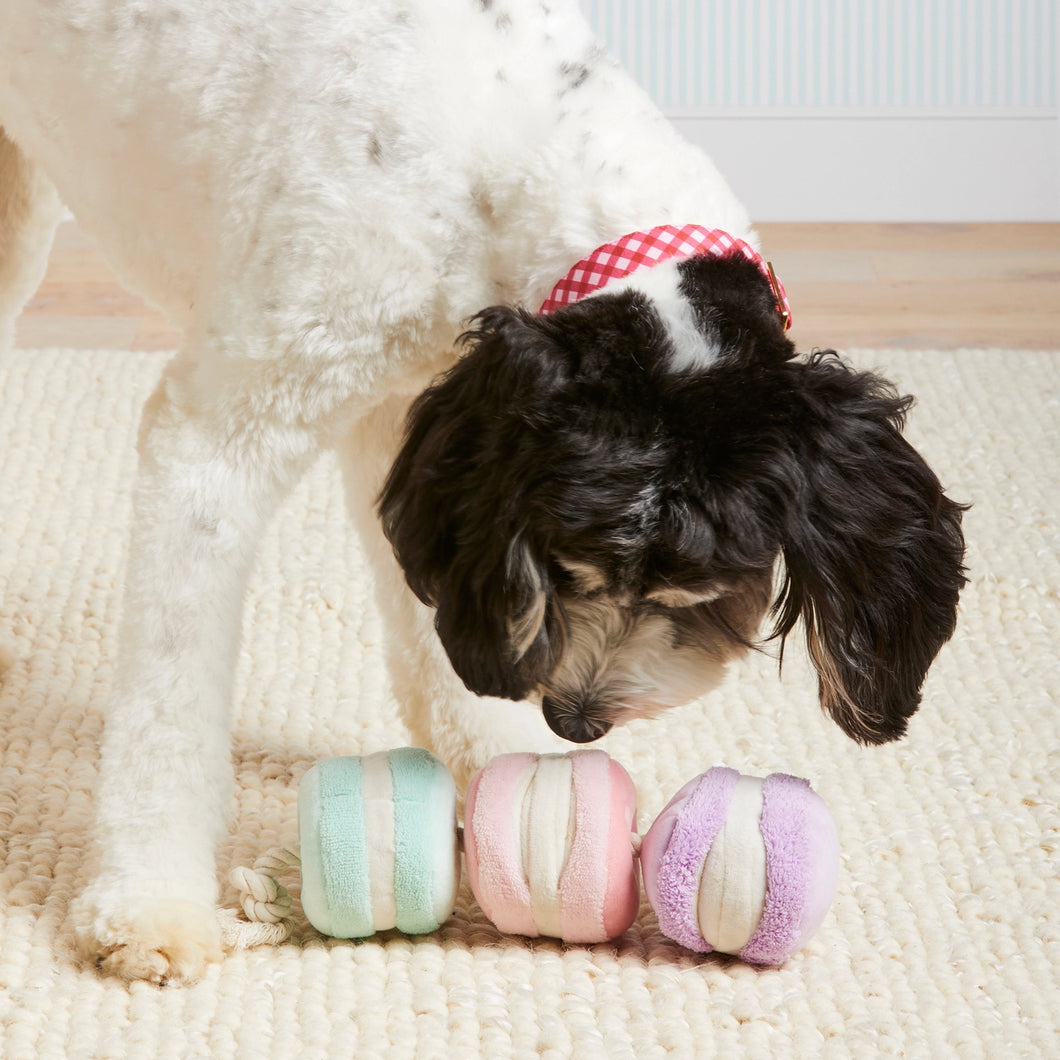 Macarons Snuffle Dog Toy